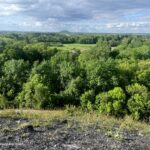 bois des hautois Réal : Rosik.C