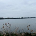 Lac de Bordeaux